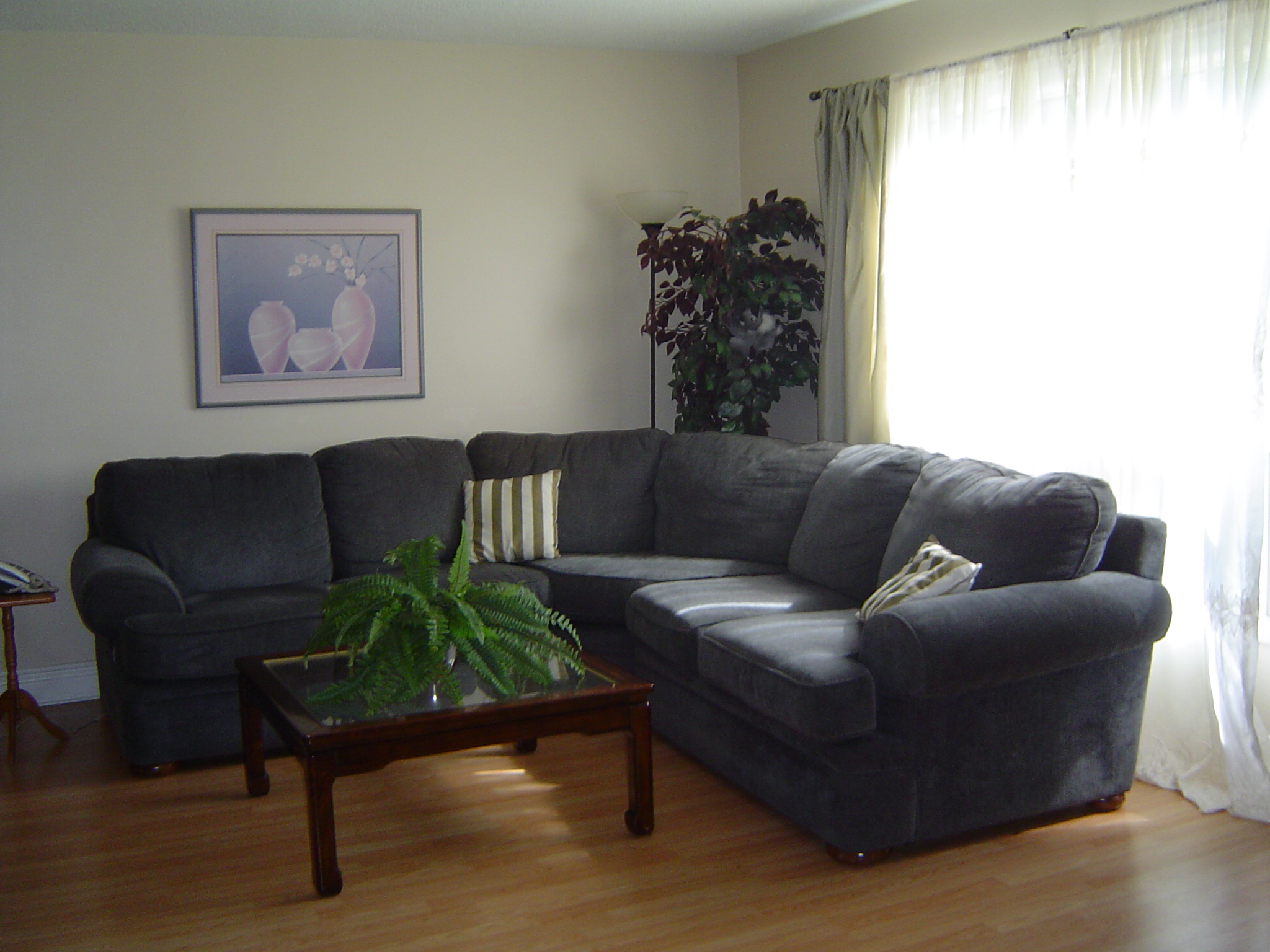 Large sunny window in the living room