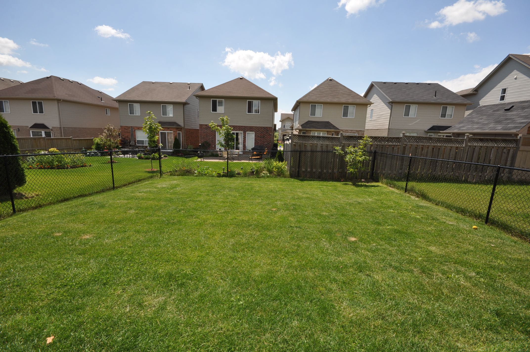 Large fenced backyard