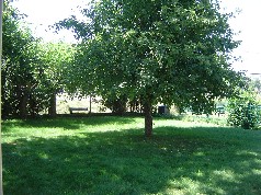 Private backyard with room for a veggie and flower garden as well as a pool! 