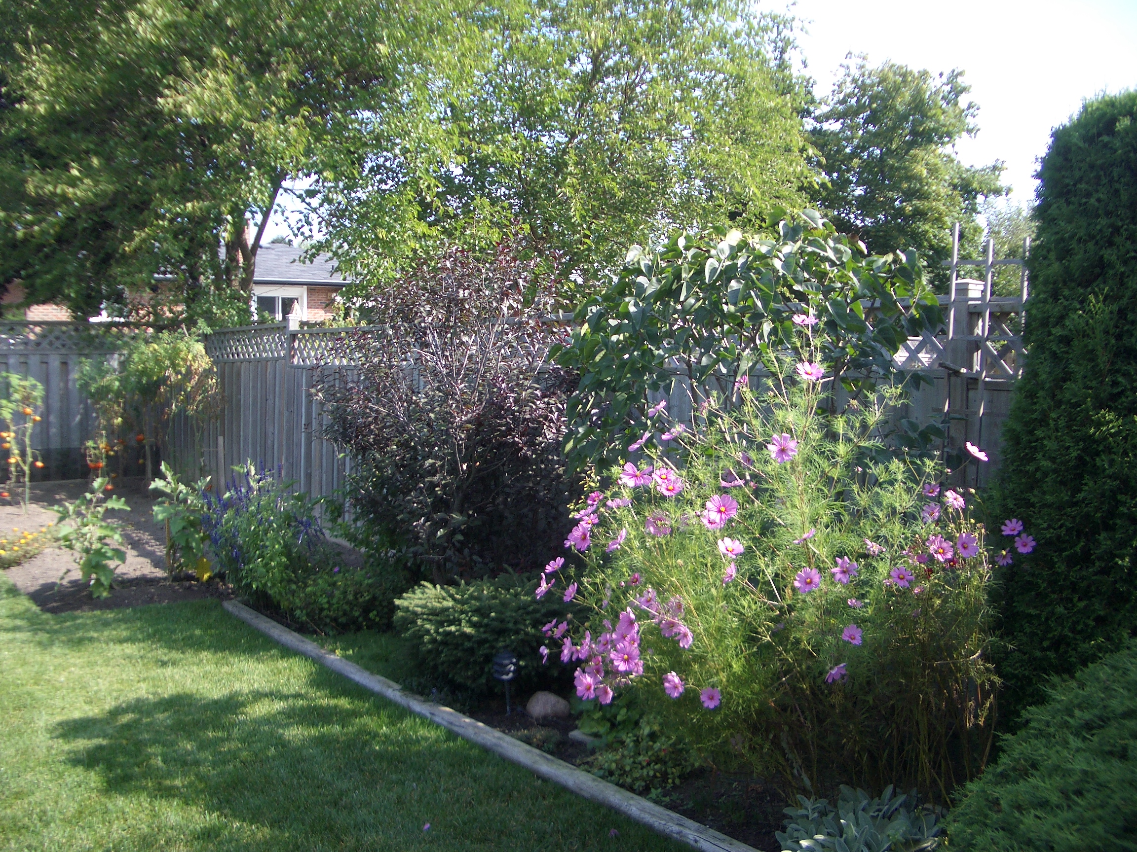 Beautiful Perennial Gardens