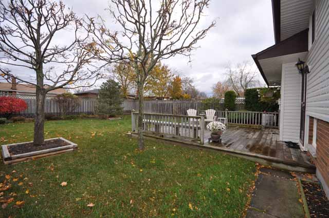 Privacy fenced backyard