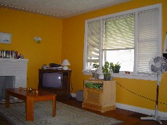 Bright sunny window in the living room