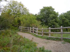 Enjoy the trails through Westminister Ponds 