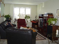 Spacious living room with bright sunny window 