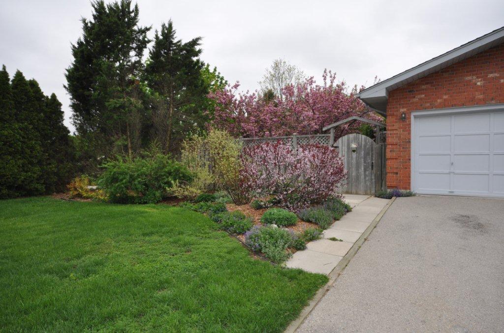 Amazing perennial filled gardens, trees & shrubs surround this backsplit