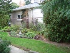 Mature trees and perennial garden in backyard 