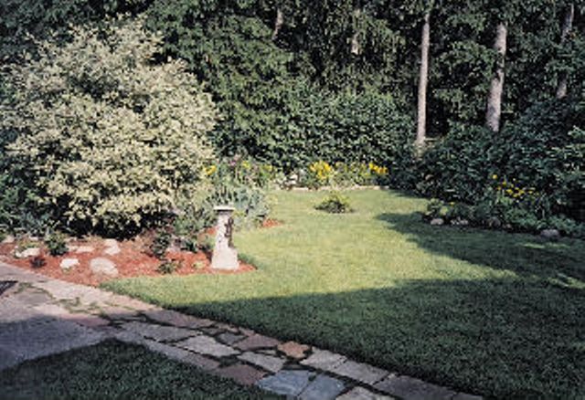 Garden Detail in Summer