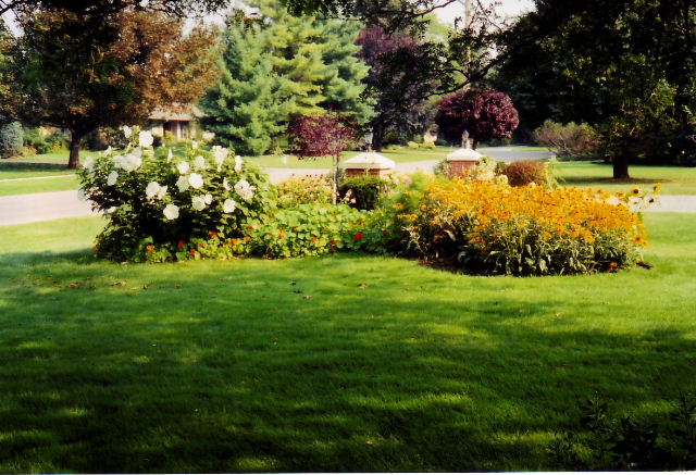 Front Garden detail in Summer