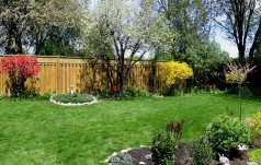 Lovely gardens in the back yard 