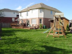 View of the back yard 