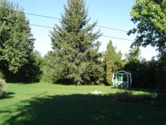 Large private fenced lot,aproximately a half an acre