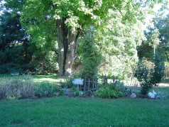 Beautiful perennial gardens 