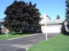 Double drive and oversized double garage with newer door 