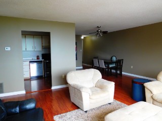 View into Living Room