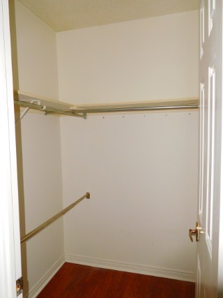 Walk in Closet in Master