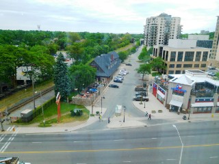 View overlooking trees