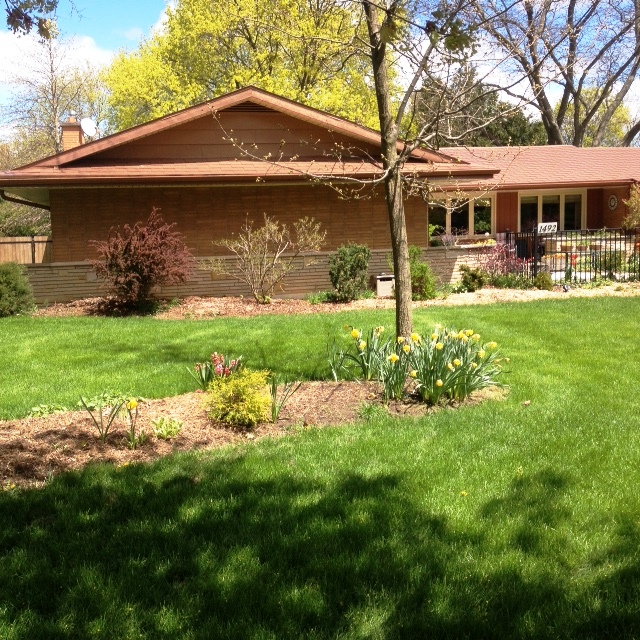 Another view of front gardens