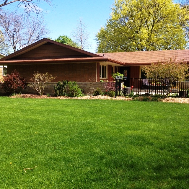 Front Gardens