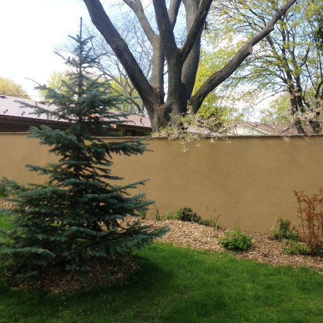 New Garden Wall