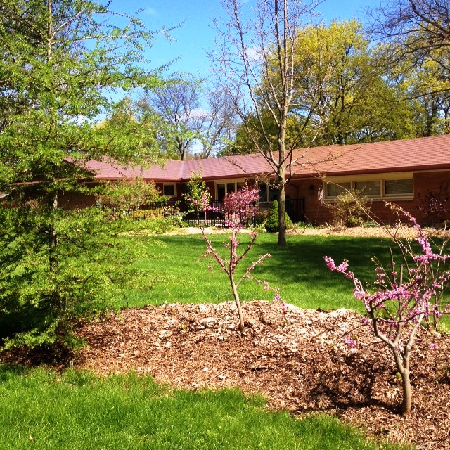 Spring Front Garden