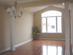 Sunny living room with cathedral ceiling & hardwood floors. 