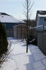 Large shed in backyard