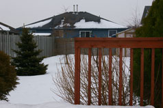 View of rear yard from sundeck