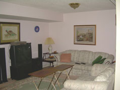 Living room in lower level