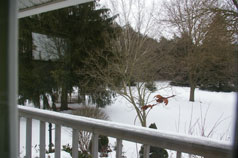 View from front bedroom to Gazebo on east side of property