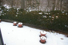 View from Rear Bedroom to private patio