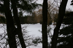 View of one of the ponds