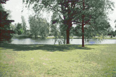 Two gorgeous ponds on the property