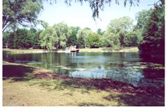 Pond has been used as a swimming hole