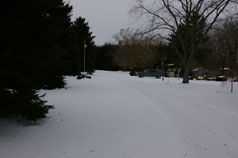 View down the driveway