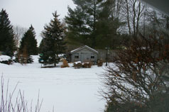 Attractive Custom Shed on west 