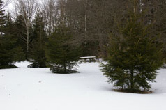 Another picnic area on east 